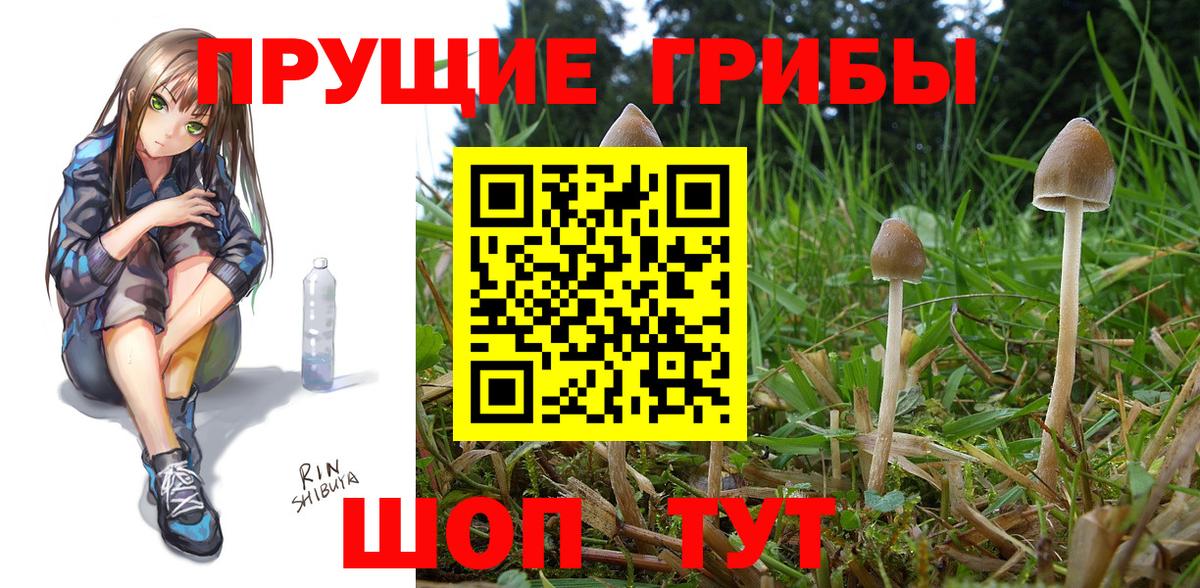 Галлюциногенные грибы мицелий Заволжье